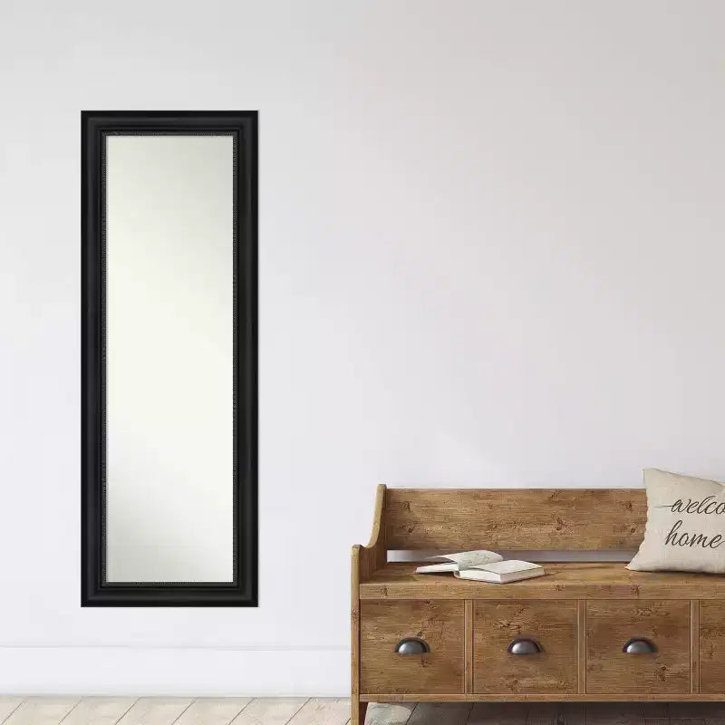 19" x 53" Astor Framed Full Length on the Door Mirror Black - Amanti Art: Polystyrene Frame, No Assembly Required