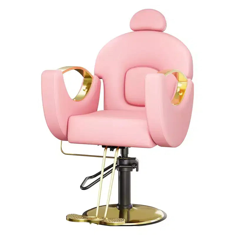 360 Swivel Barber Chair Hair Chair Stylist Chair with Heavy Duty Hydraulic Pump, Adjustable Headrest & Reclining Backrest, Reclining Salon Chair
