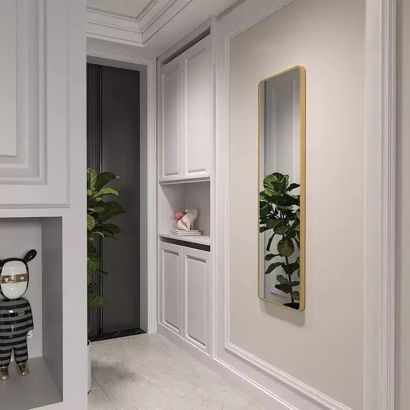 Whisen 47x14 Inch Slim Door Mirror, HD Glass with Anti-Rust Aluminum Frame