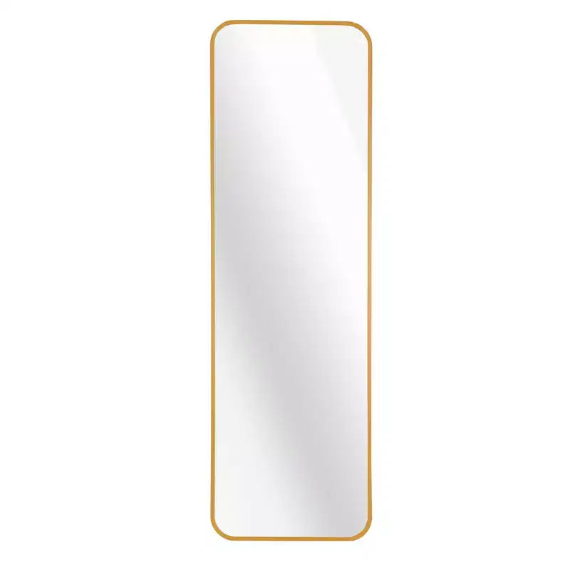 Whisen 47x14 Inch Slim Door Mirror, HD Glass with Anti-Rust Aluminum Frame