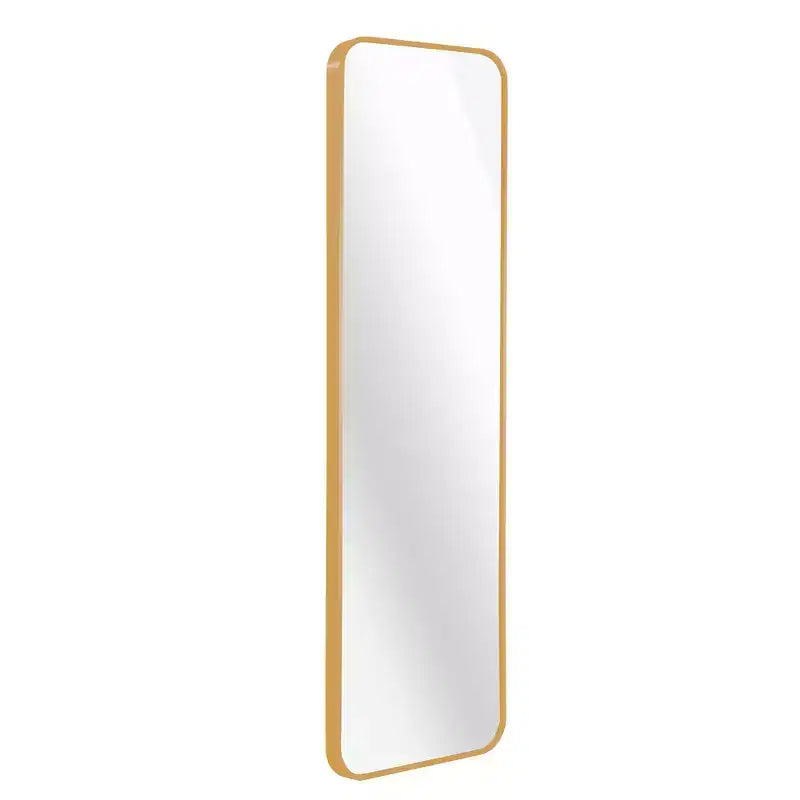 Whisen 47x14 Inch Slim Door Mirror, HD Glass with Anti-Rust Aluminum Frame