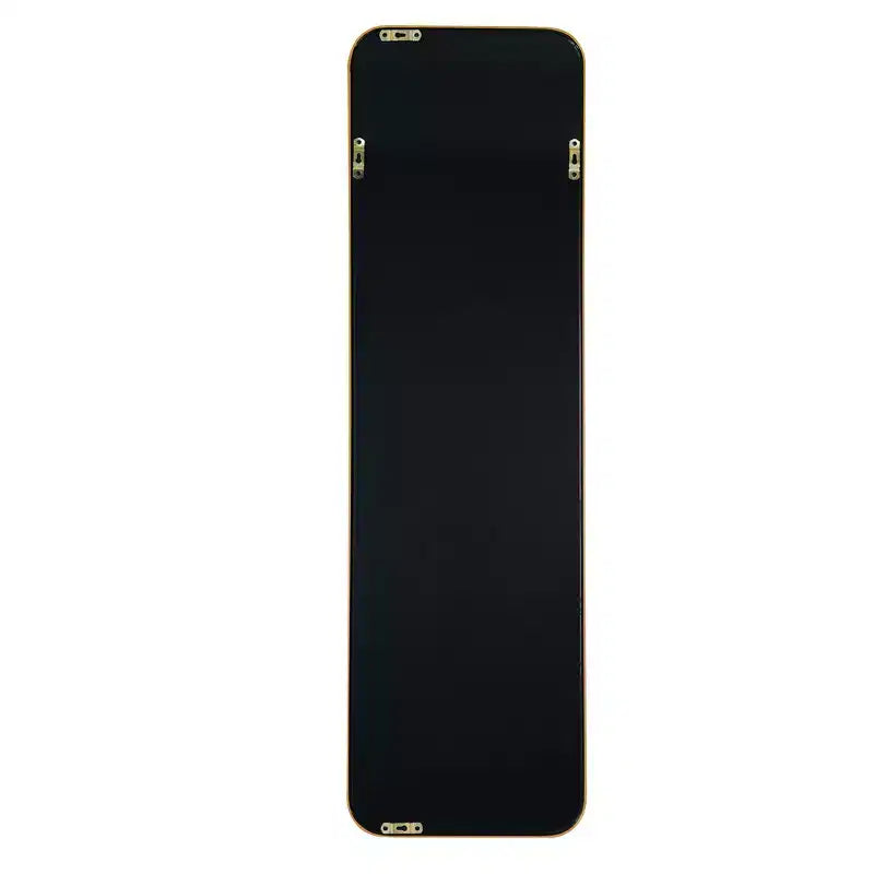 Whisen 47x14 Inch Slim Door Mirror, HD Glass with Anti-Rust Aluminum Frame