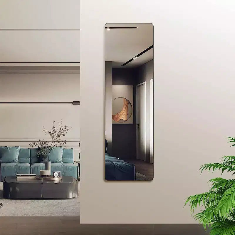 Whisen 47x14 Inch Slim Door Mirror, HD Glass with Anti-Rust Aluminum Frame