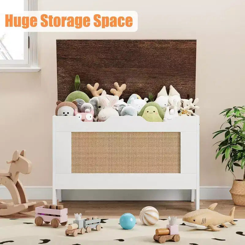 Acekool Decorative Storage Bench, Dual-Use Entryway Chest with Safety Hinge