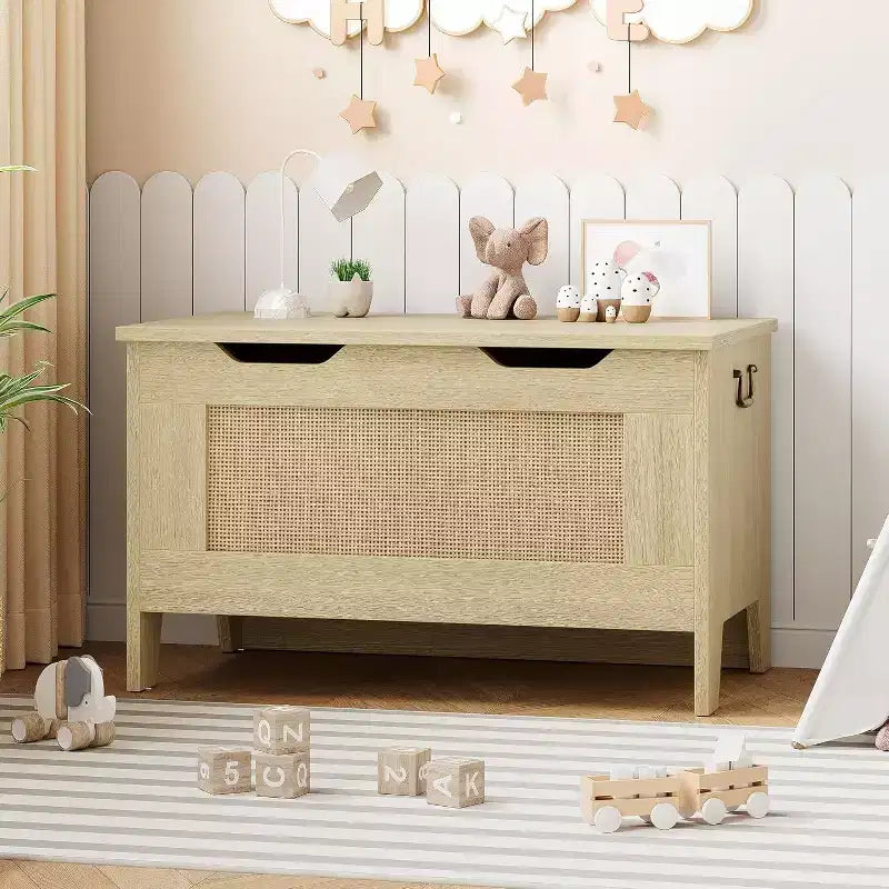 Acekool Decorative Storage Bench, Dual-Use Entryway Chest with Safety Hinge