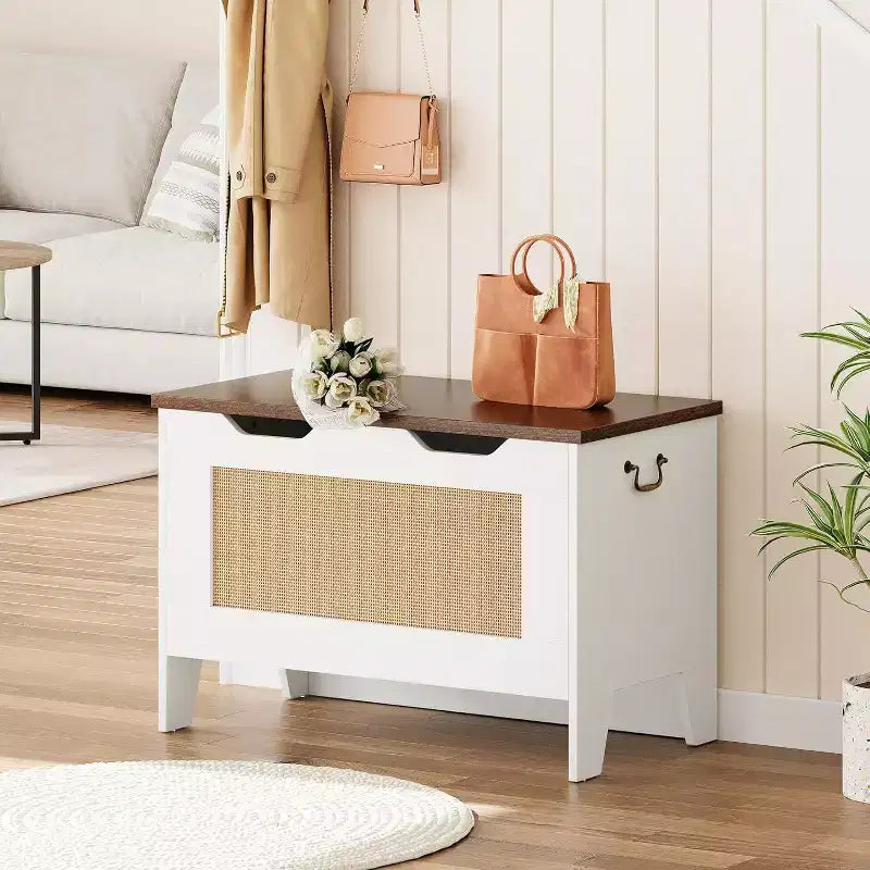 Acekool Decorative Storage Bench, Dual-Use Entryway Chest with Safety Hinge