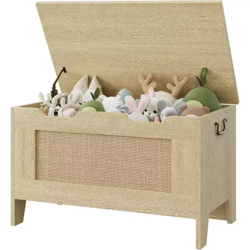 Acekool Decorative Storage Bench, Dual-Use Entryway Chest with Safety Hinge