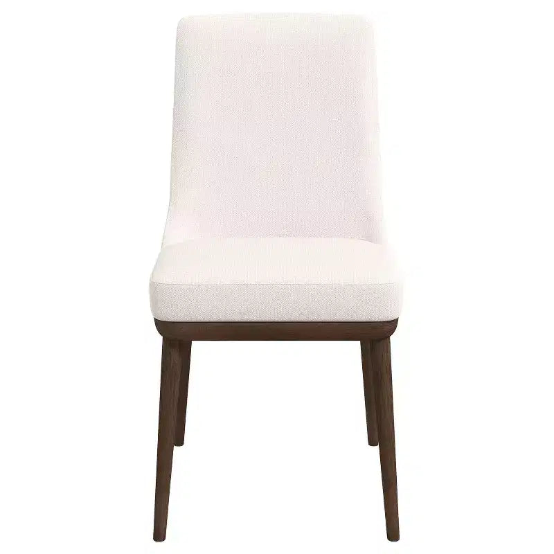 Mid-Century Dining Chairs, Set of 2  Indoor/Outdoor Lounge Accent Chairs for Living Room, Bedroom, Patio