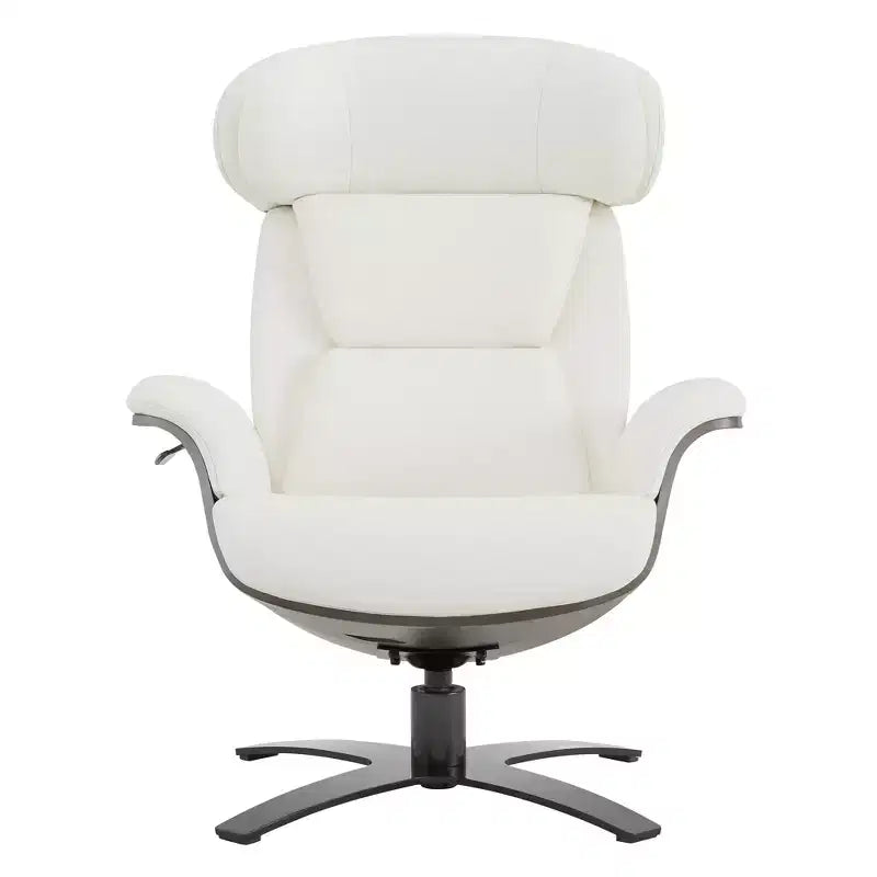 Spruce&Spring Swivel Recliner Chair Set Accent Chair with Ottoman and Adjustable Headrest