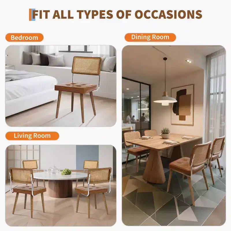 Modern Rattan Dining Chair - Soft Upholstered Seat, Tall Cane Backrest, Solidly Wood Legs - Sturdy Side Chair for Dining Room, Kitchen, or Restaurant