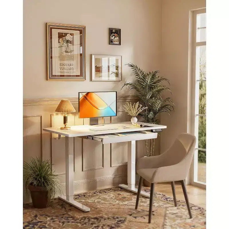 ErGear 44X24 Electric Standing Desk with Drawers, Height Adjustable Desk with 4 Preset Heights, Ergonomic Rising Home Office Computer Table, White