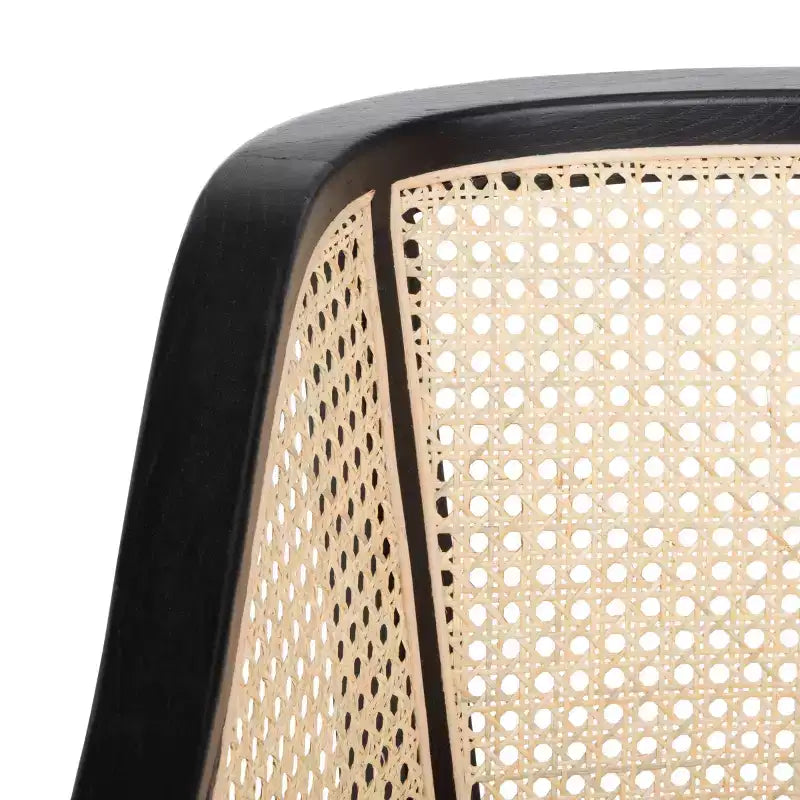 Rina Cane Dining Chair - DCH9501 - Safavieh