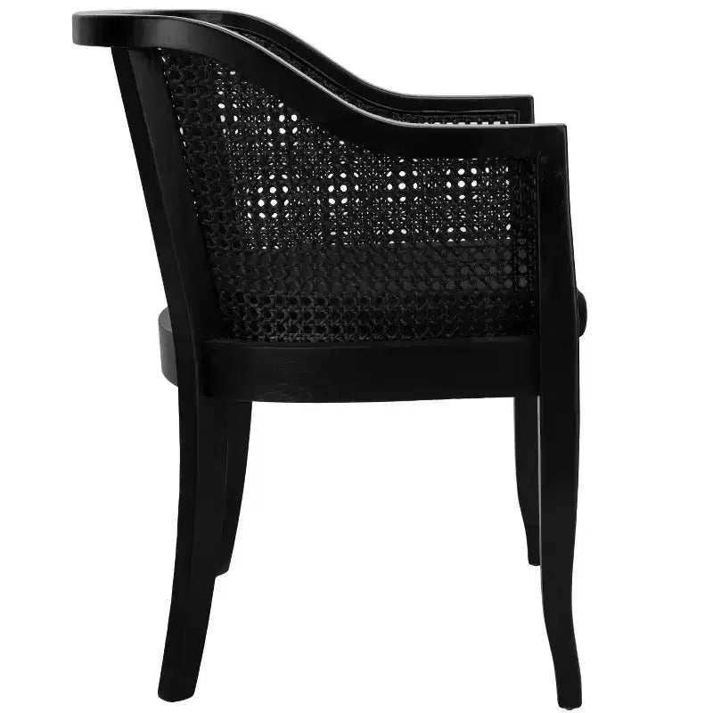 Rina Cane Dining Chair - DCH9501 - Safavieh